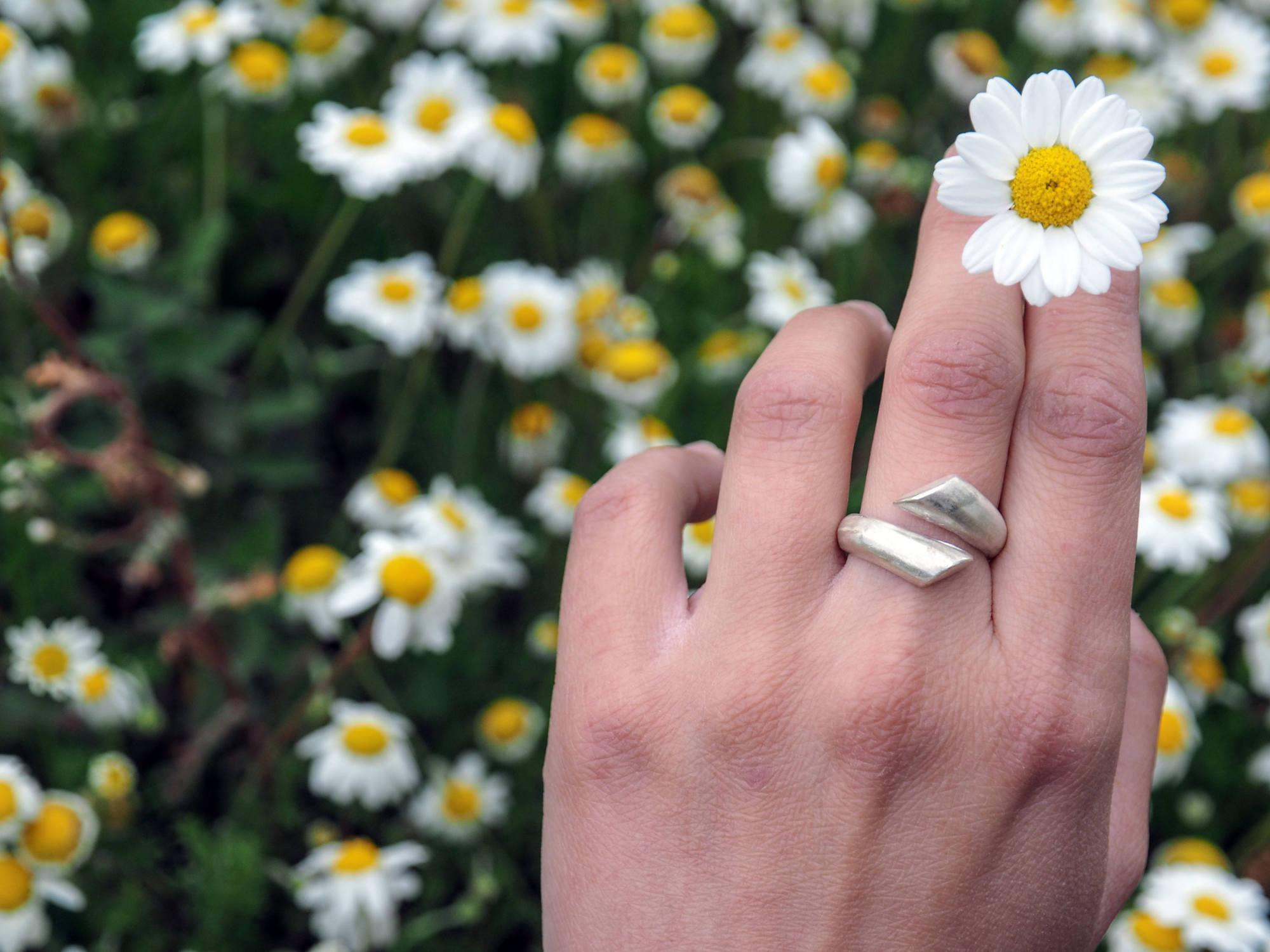 Elysia | Ring