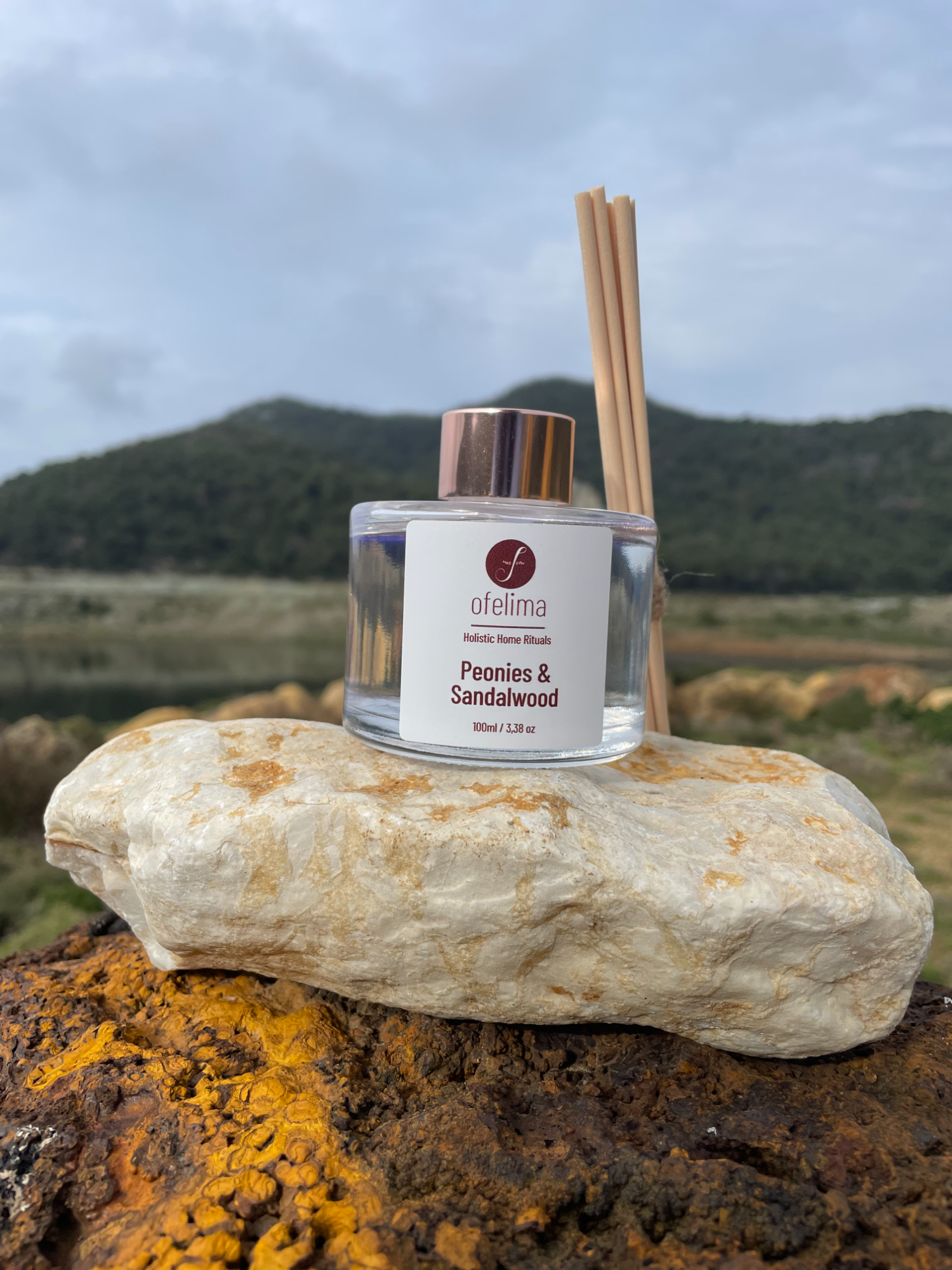 Atmosphere Reed Diffuser 