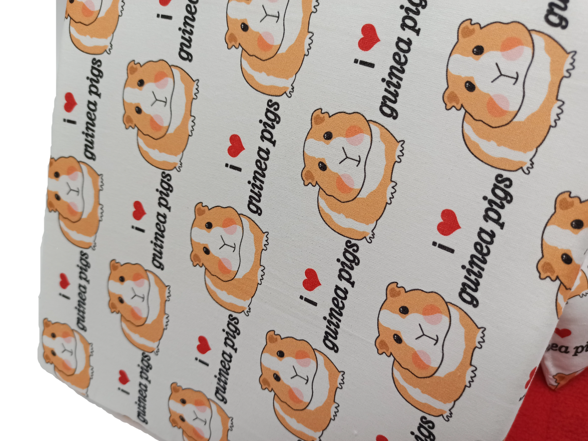 Σκηνή για ινδικό χοιρίδιο και σκαντζόχοιρο