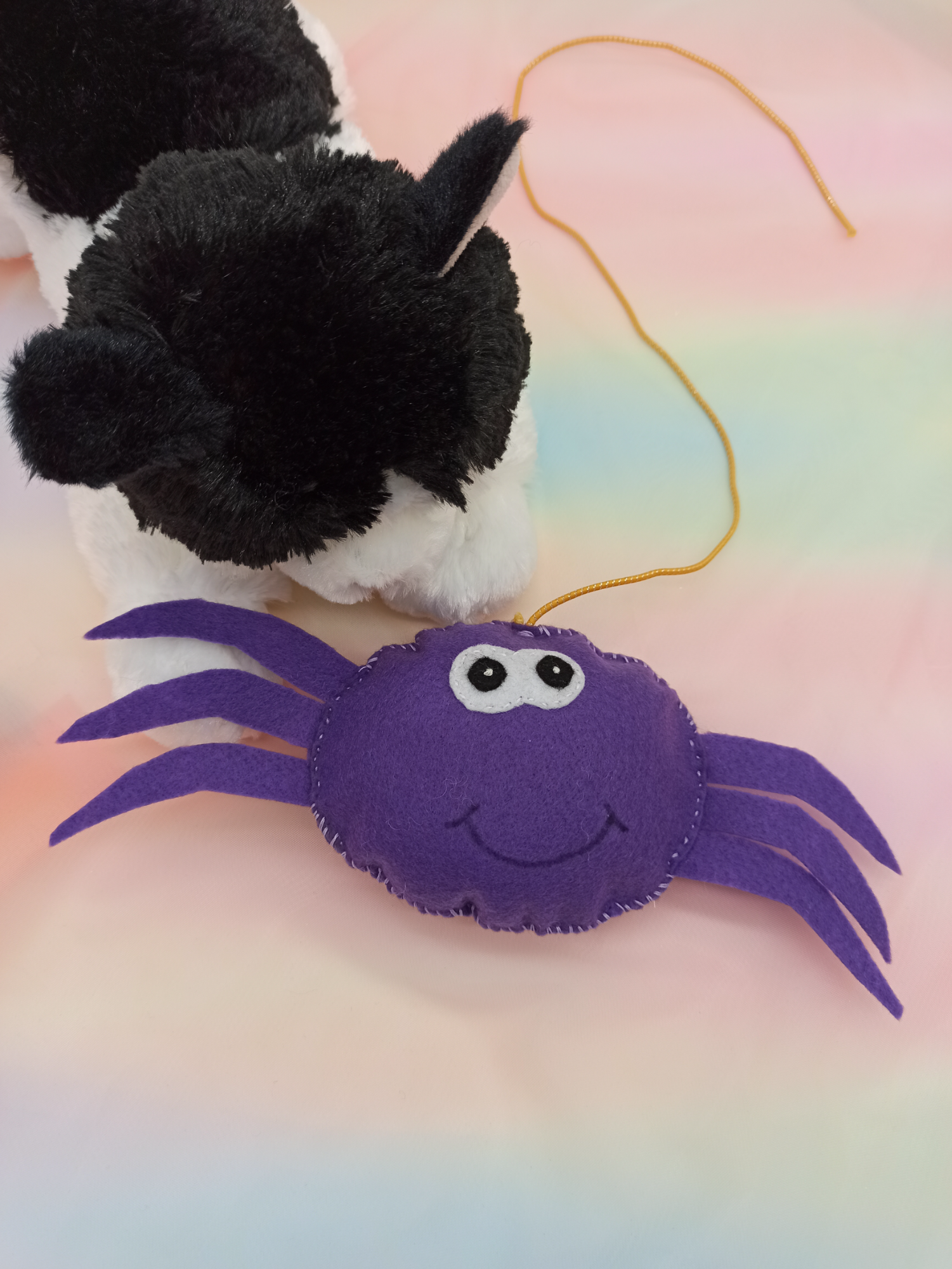 Παιχνίδι γάτας αράχνη