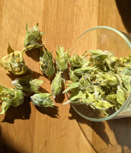 Τσάι του Βουνού (Ανθός) 25γρ.