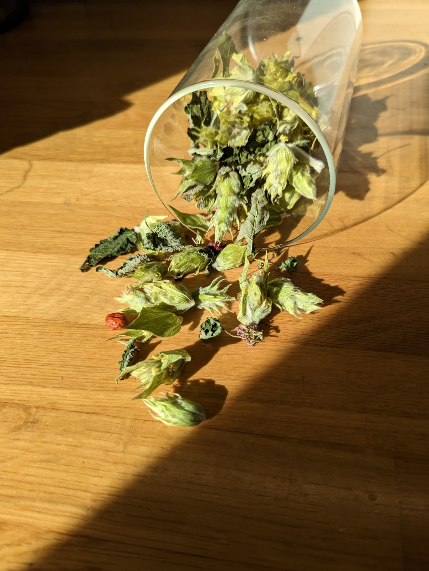 The Bear Blend Μίγμα Βοτάνων (Τσάι βουνού, Μελισσόχορτο, Αγριοθύμαρο, Κράταιγο) 30γρ.