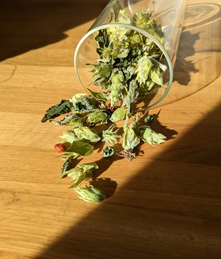 The Bear Blend Μίγμα Βοτάνων (Τσάι βουνού, Μελισσόχορτο, Αγριοθύμαρο, Κράταιγο) 30γρ.