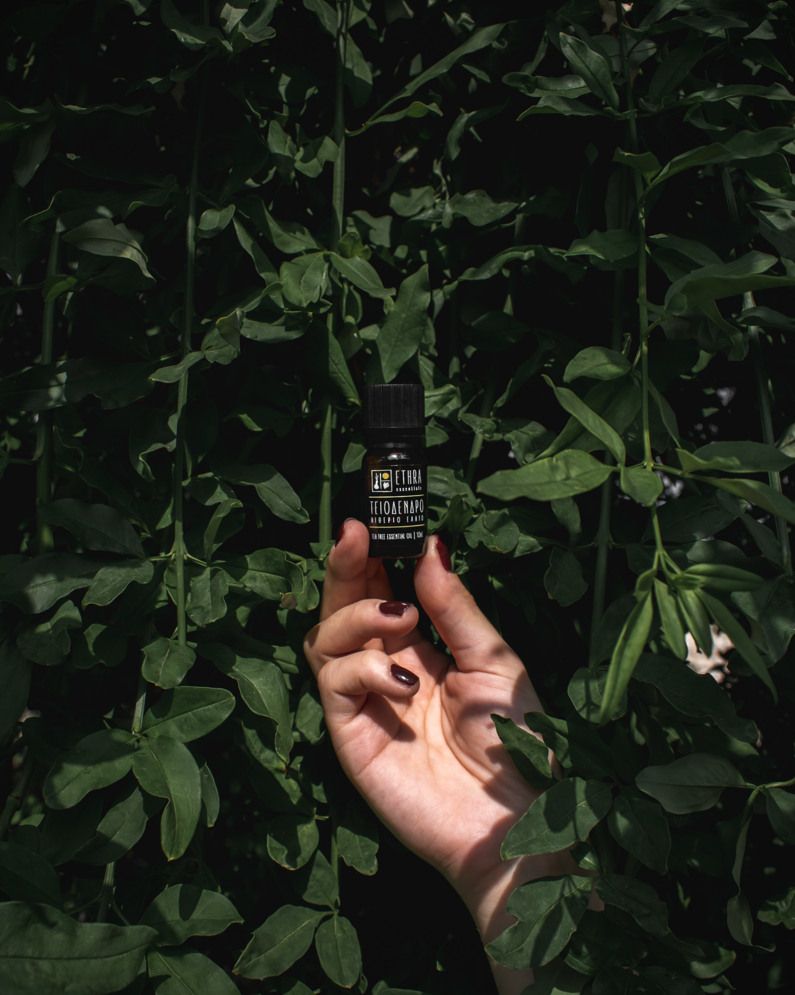 Tea Tree Essential Oil