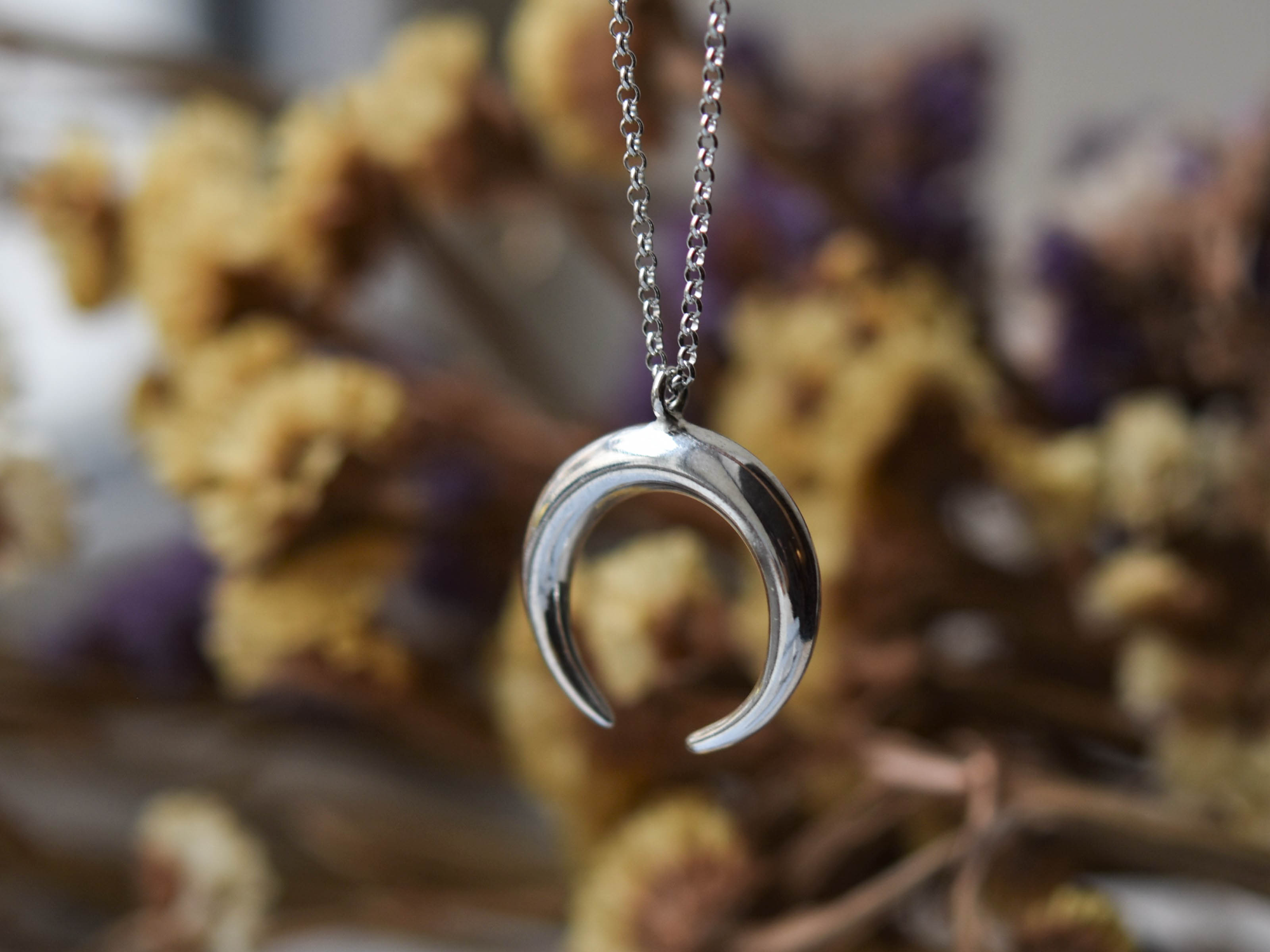 Horseshoe pendant