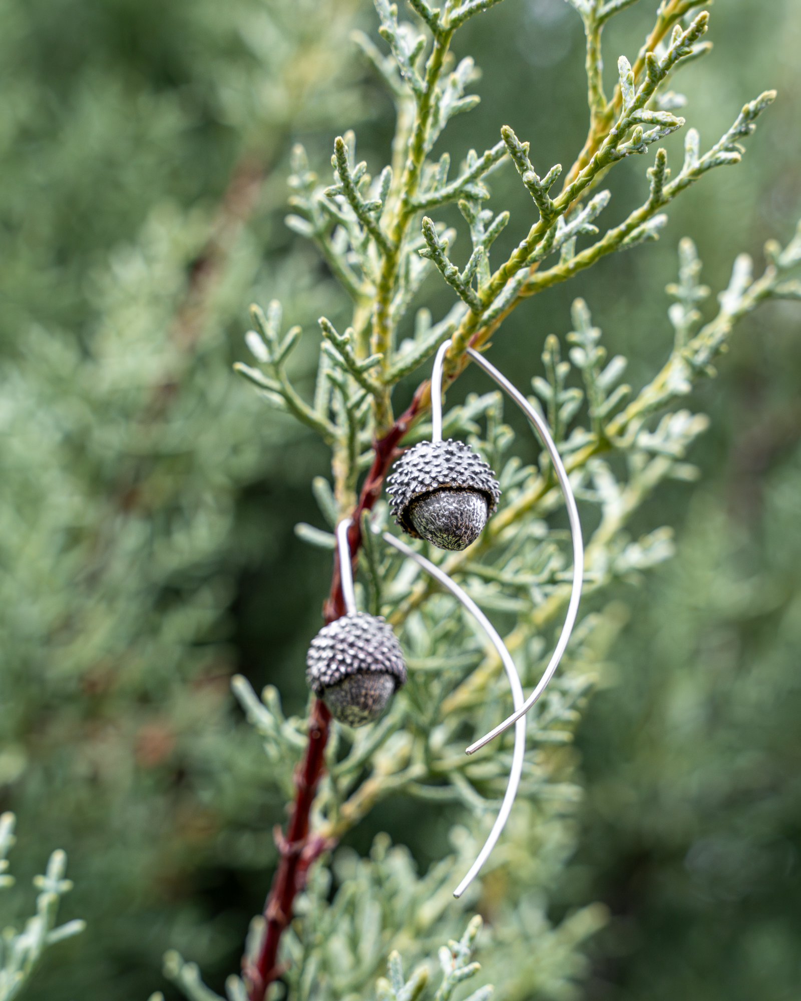 Acorn | Earrings