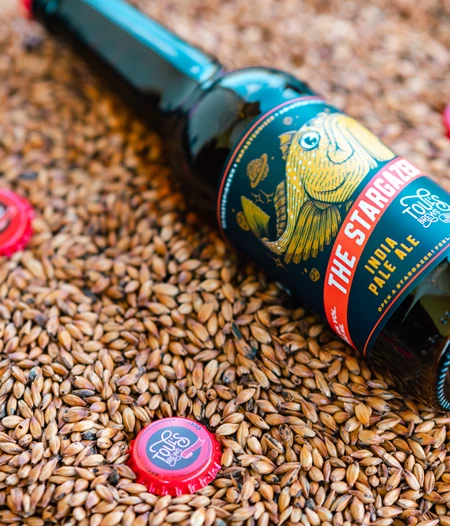 The Stargazer - 330ml