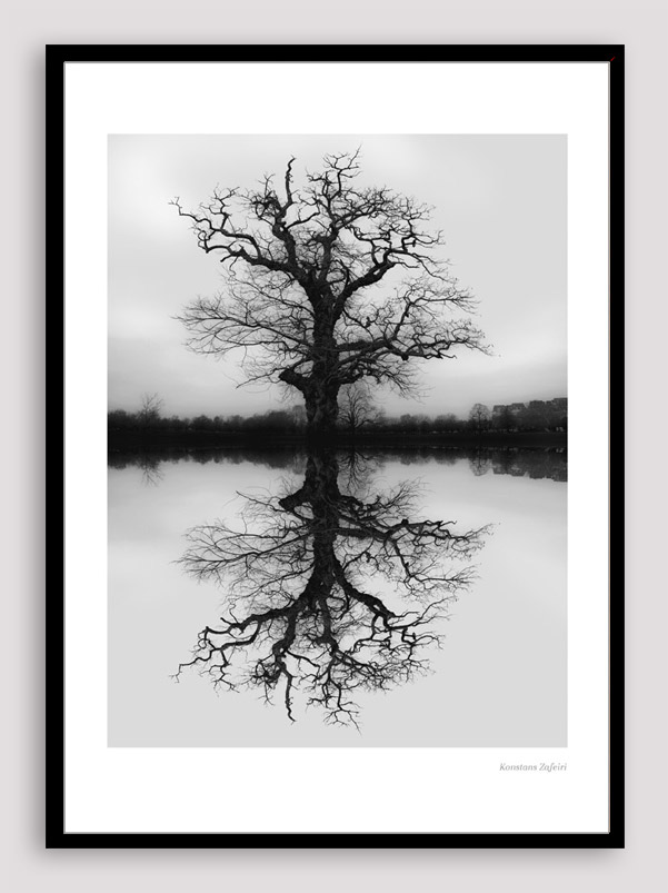 BFA001 MIRRORING