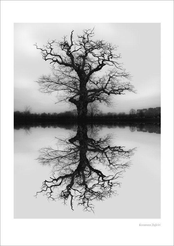BFA001 MIRRORING