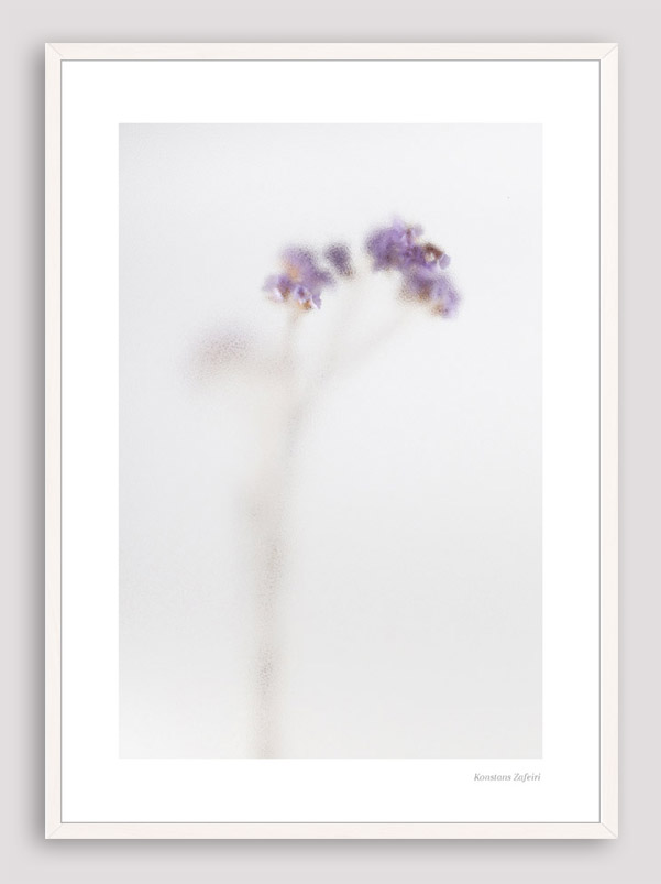 BNS001 BOTANICAL