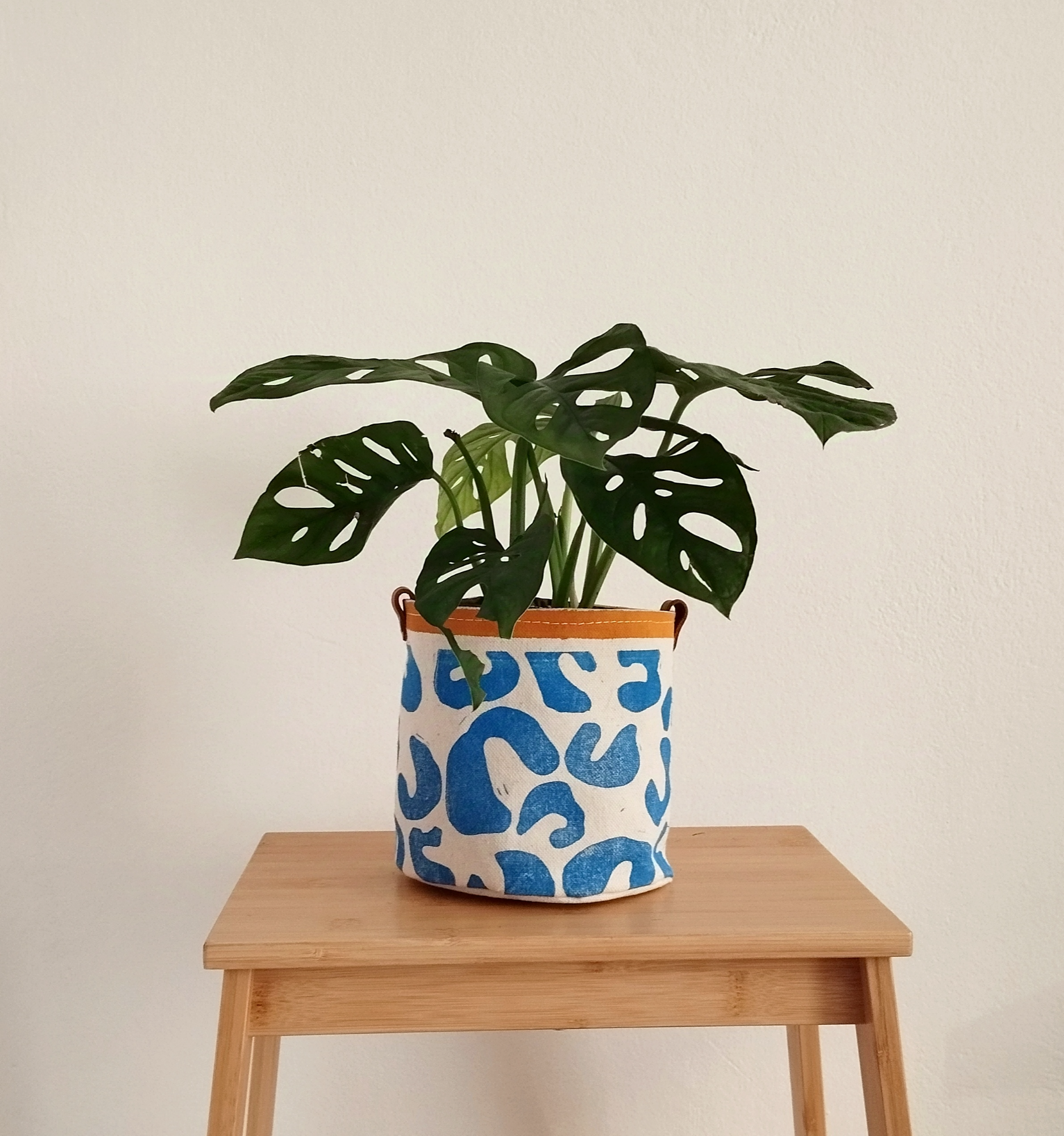 Μικρό Διακοσμητικό Κασπώ Εσωτερικού Χώρου