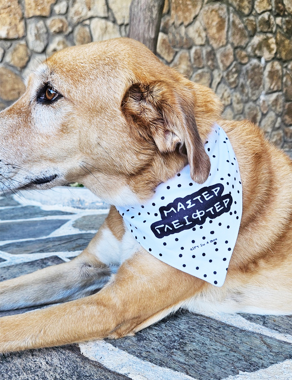 Μάστερ Γλύφτερ. 