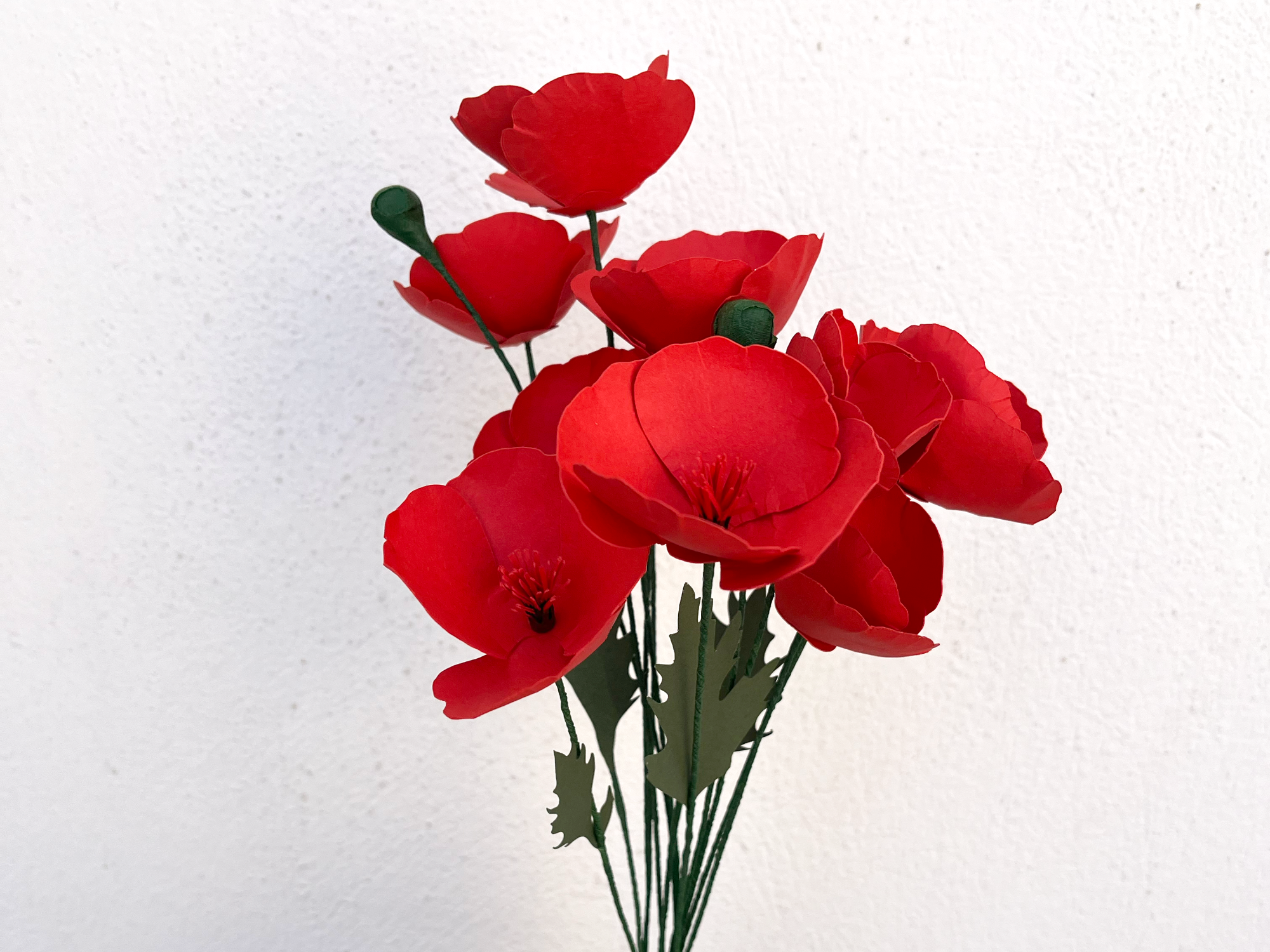 Paper Poppies