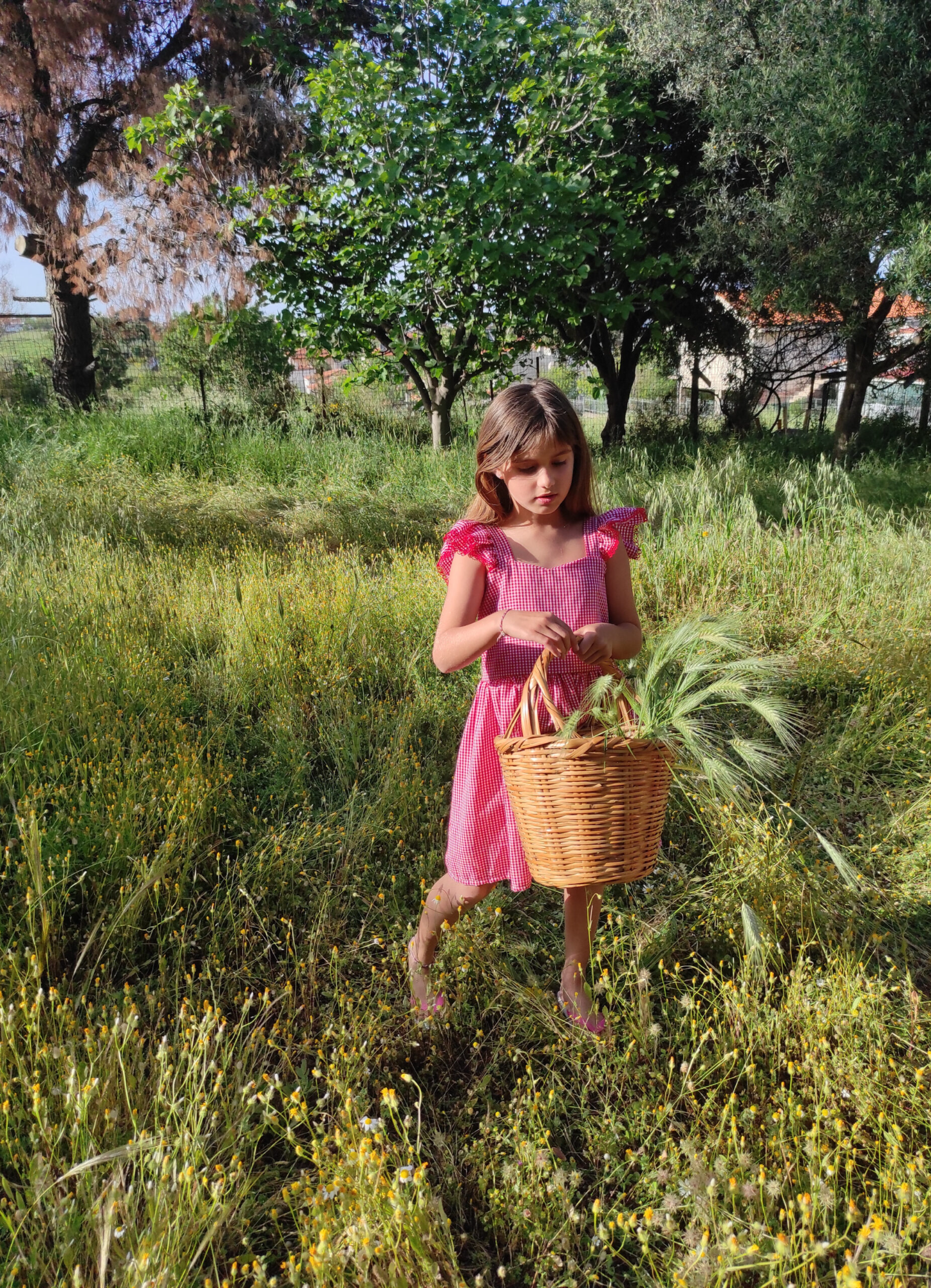 Εμπριμέ φόρεμα με βολάν 