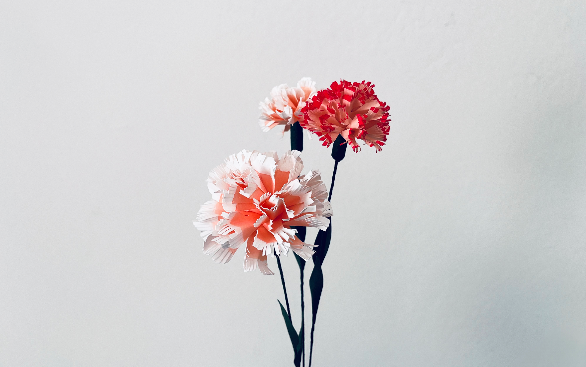 Trio of Hand-Painted Pink Paper Carnations