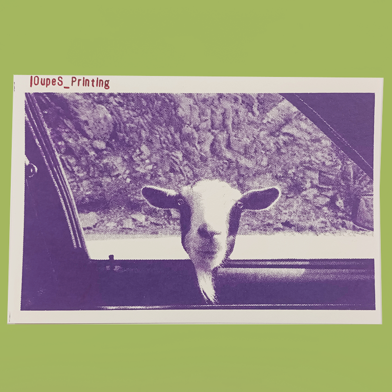 Surealism Populer Cards // Goat + Lover