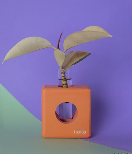 Propagation Station "Ovase Squared Orange"