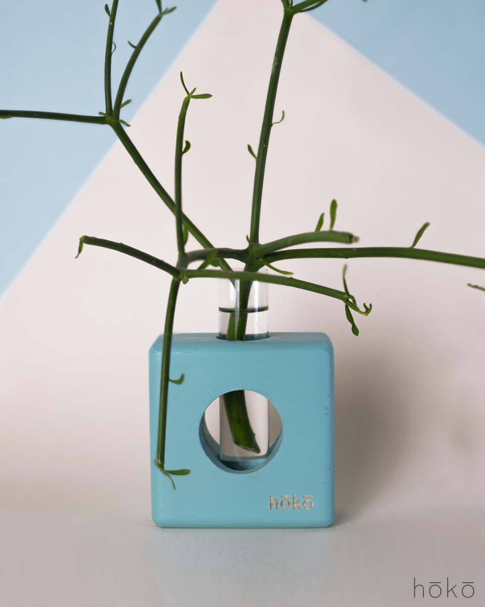 Propagation Station "Ōvase Squared Turquoise"