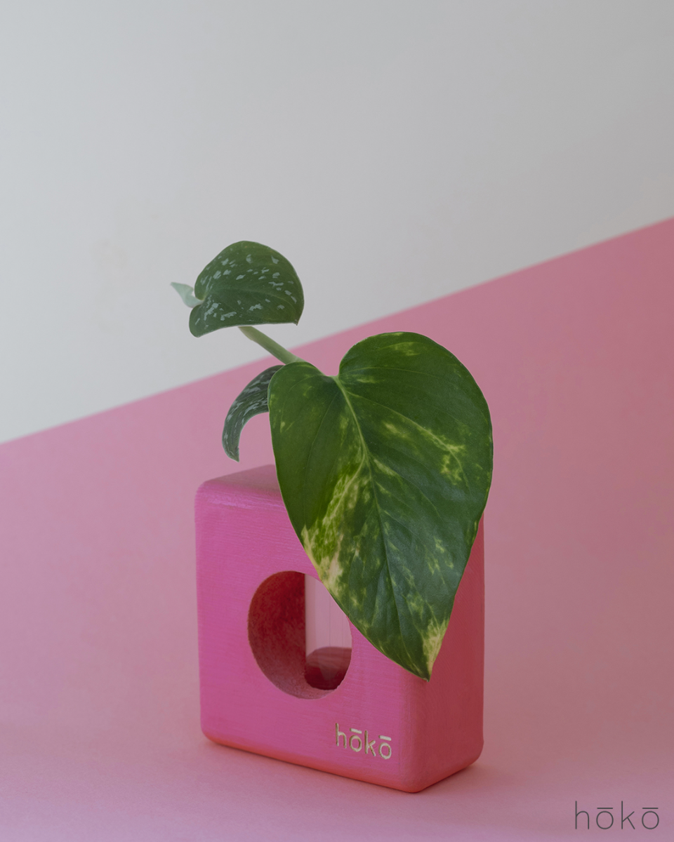 Propagation Station "Ōvase Squared Pink"