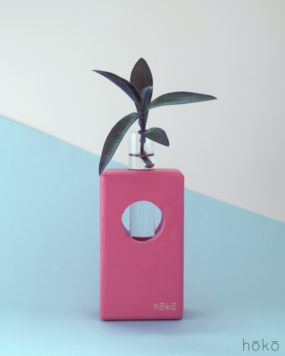 Propagation Station "Ōvase Tall Pink"