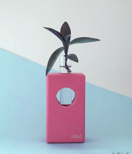 Propagation Station "Ōvase Tall Pink"