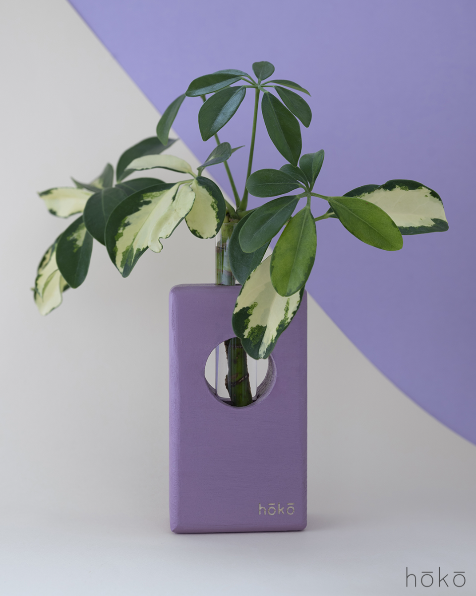 Propagation Station "Ōvase Tall Lavander"