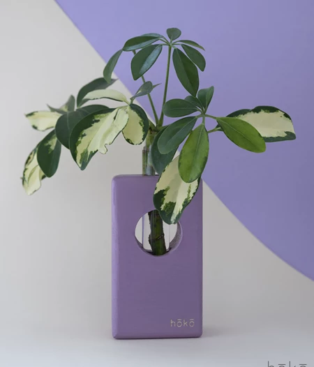 Propagation Station "Ōvase Tall Lavander"