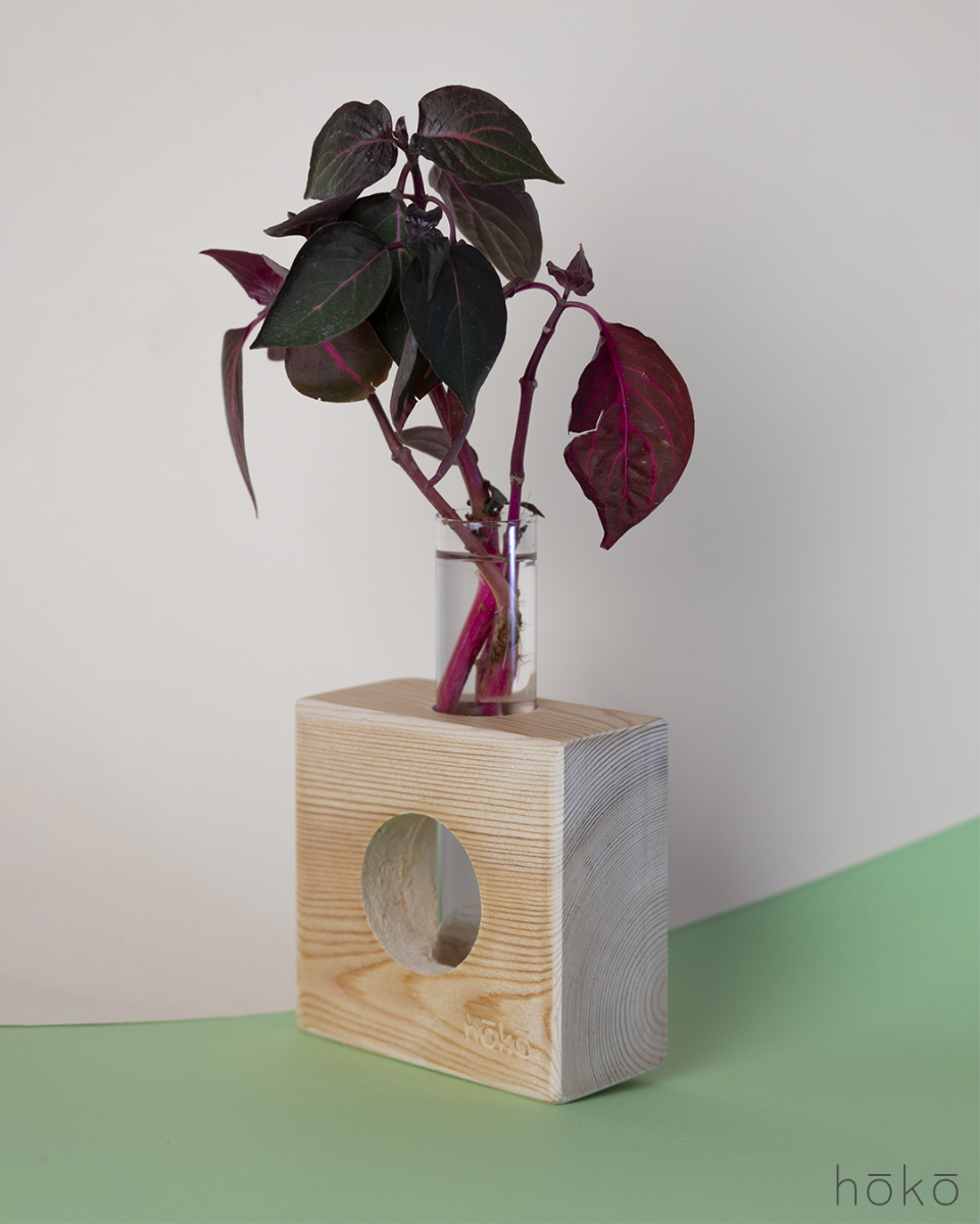 Propagation Station "Ōvase Squared Natural"