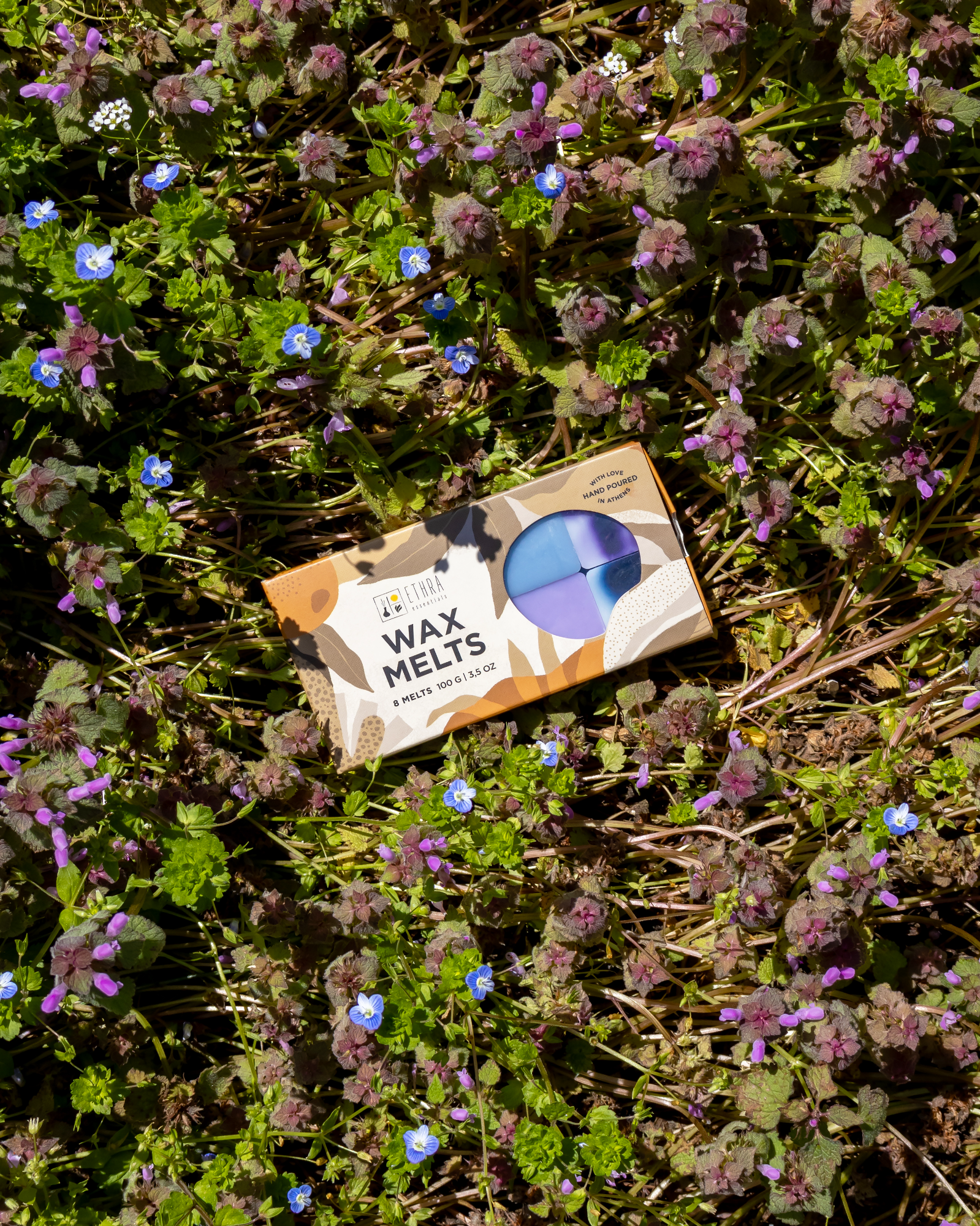 Wax Melt Mix | Fresh Bites (100gr)