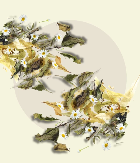 Calm Spirit Herbal Tea