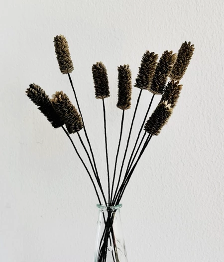 Paper Bunny Tails