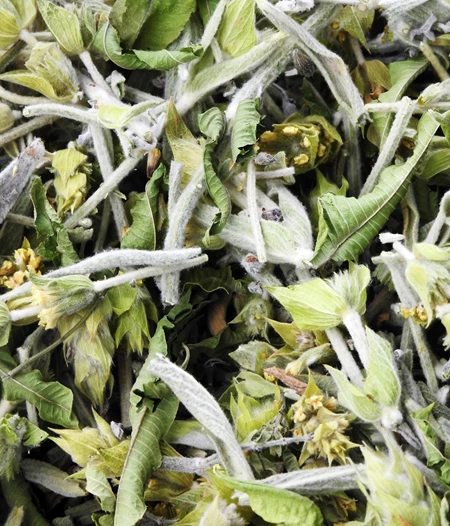 Βότανα του Βουνού για Τσάι 
(πράσινη ετικέτα)