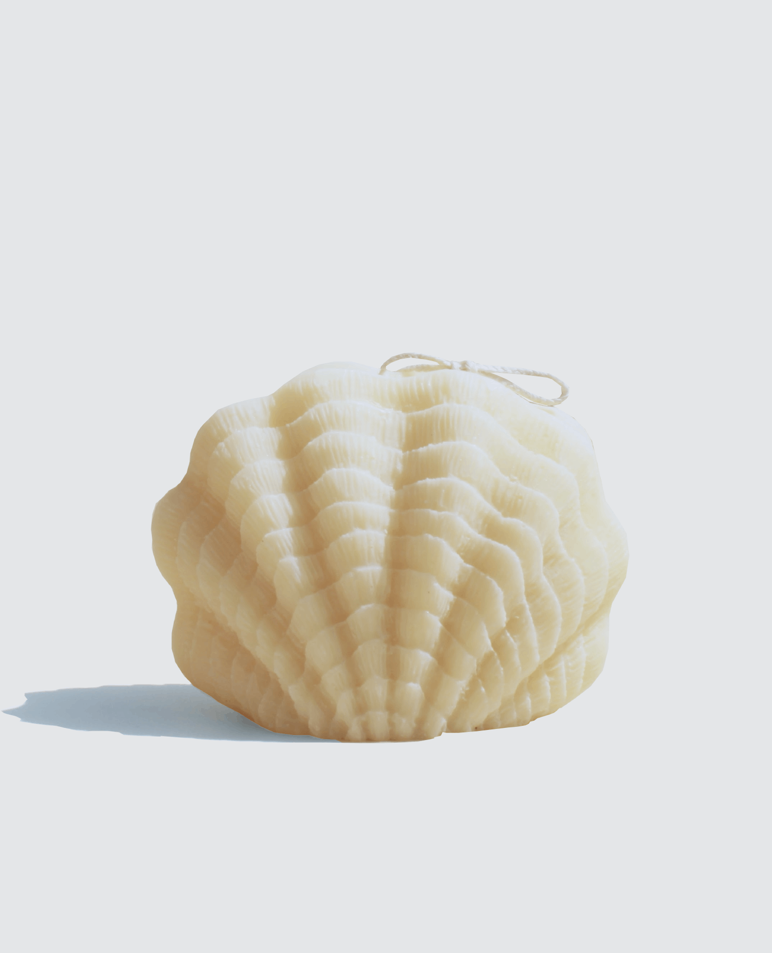 Φυτικό κερί κοχύλι