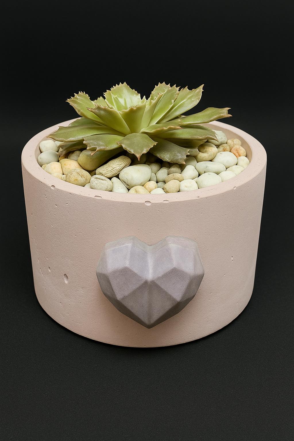 Graptoperia 'Starfire' / pink love container