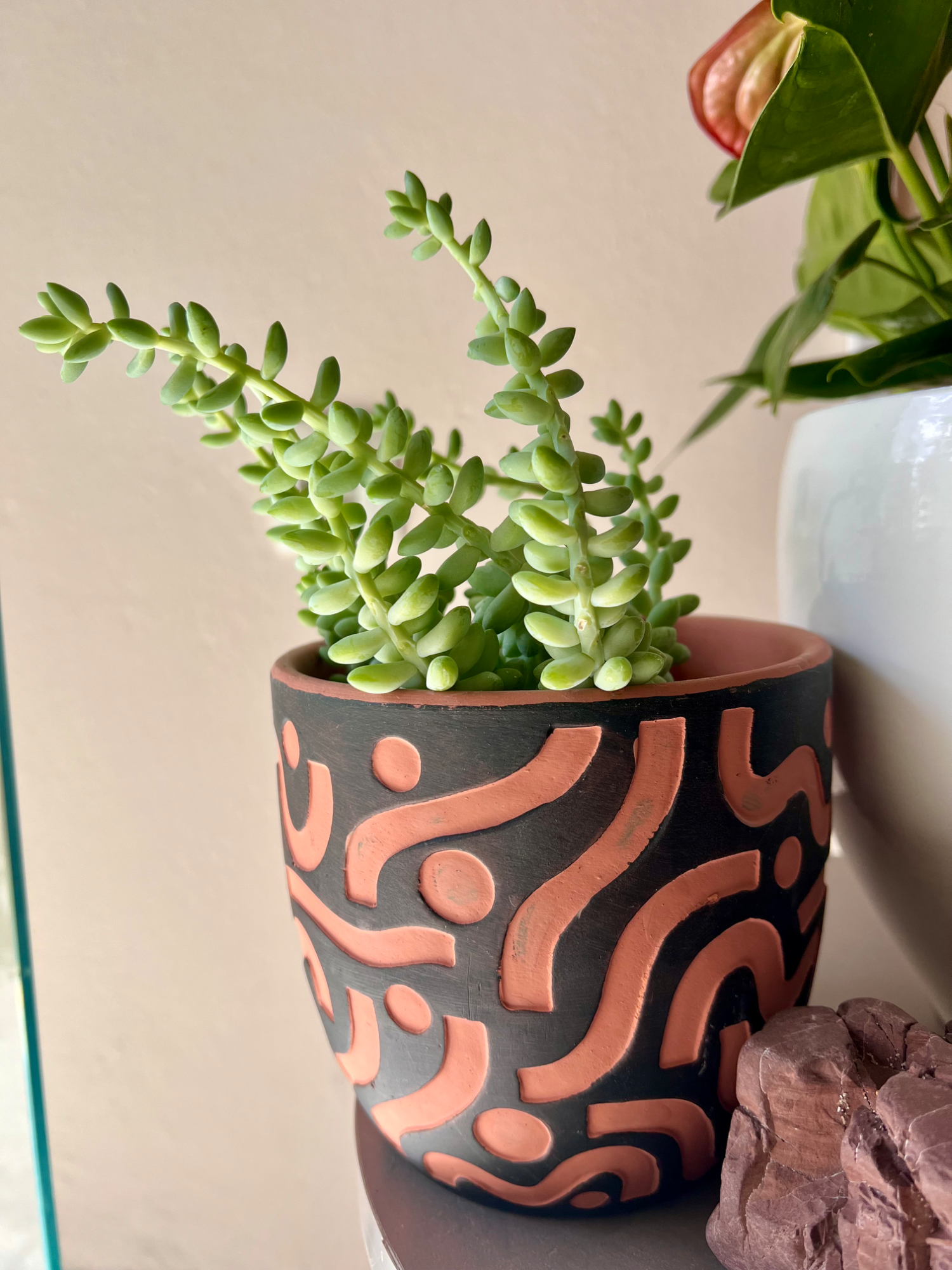 Sedum morganianum  and aged pot