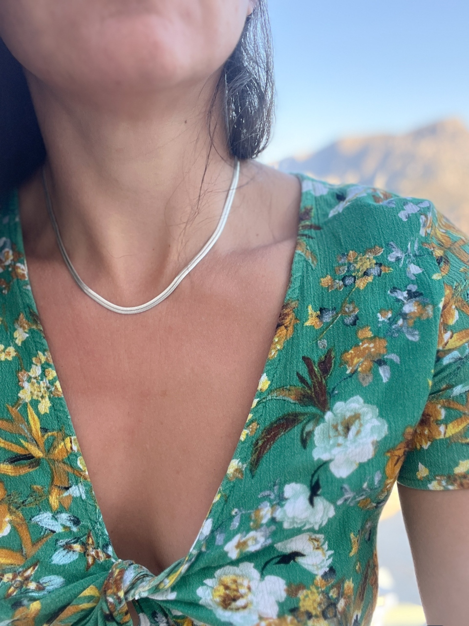 Snake necklace