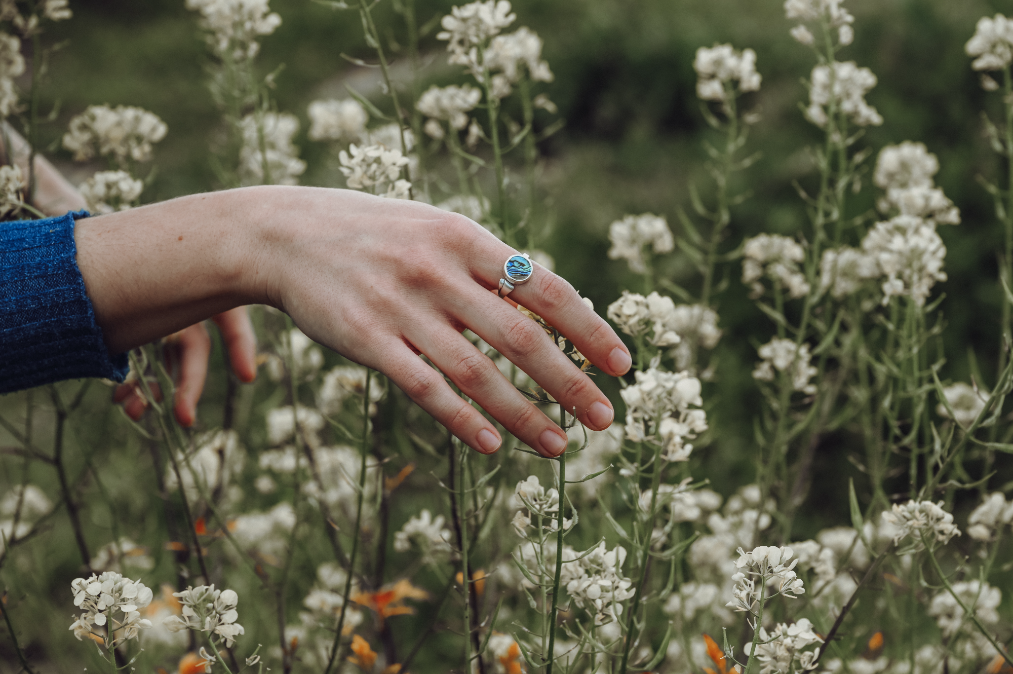 Moana ring