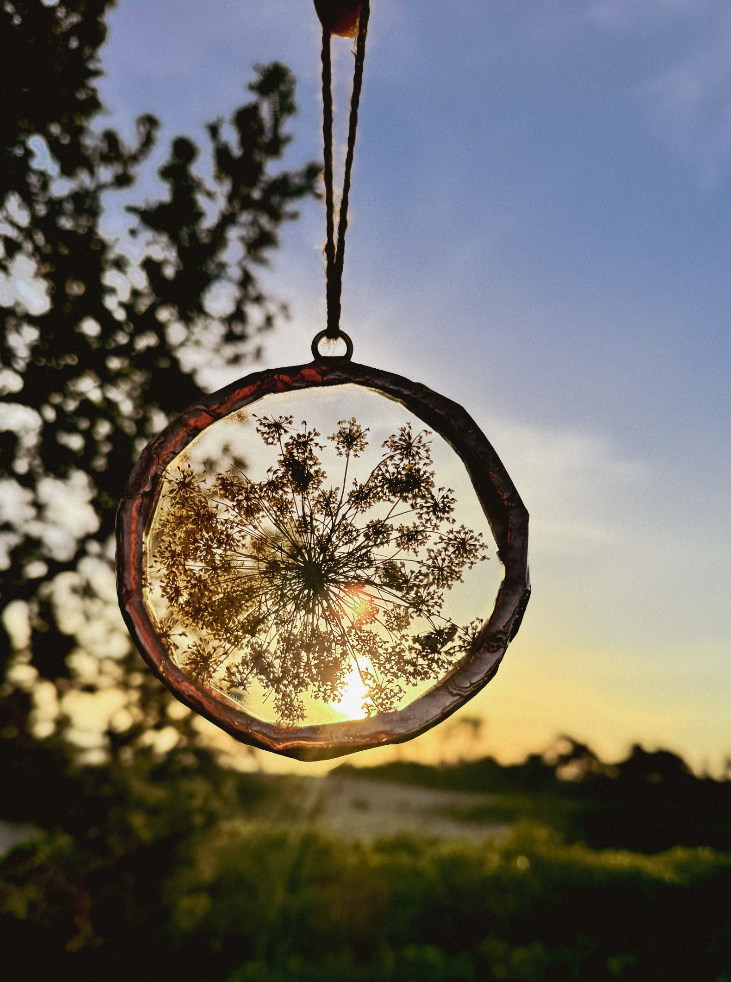 Queen Anne's Lace Ornament