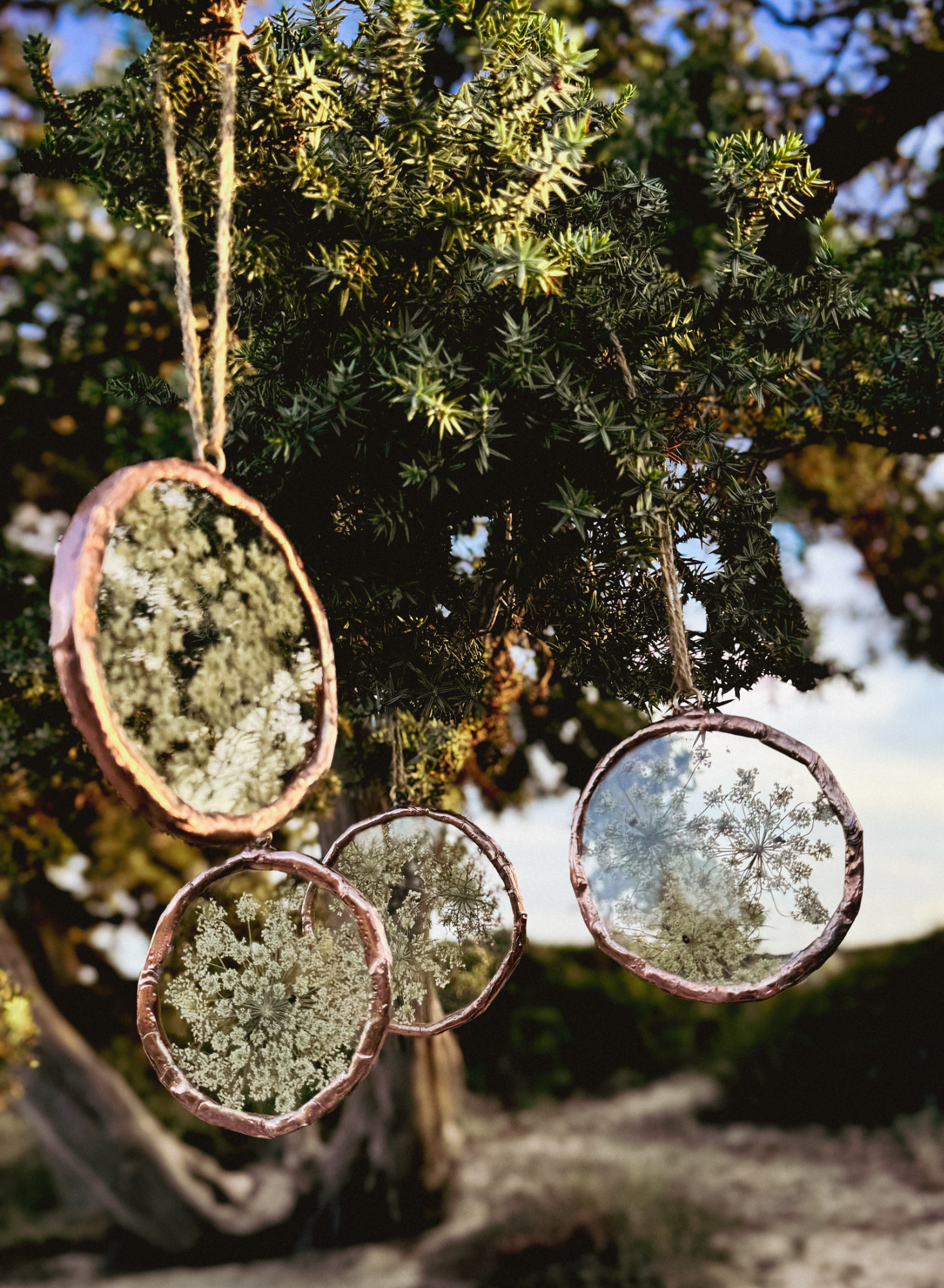 Queen Anne's Lace Ornament