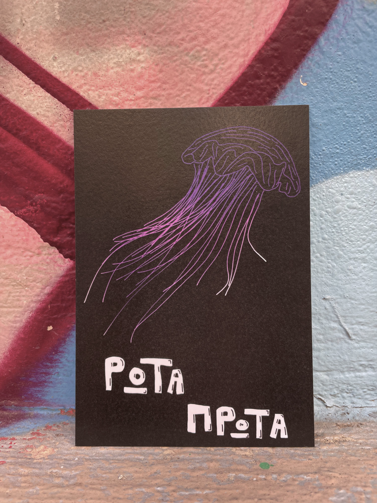 POSTCARD SET - GATA+ ROTA PROTA