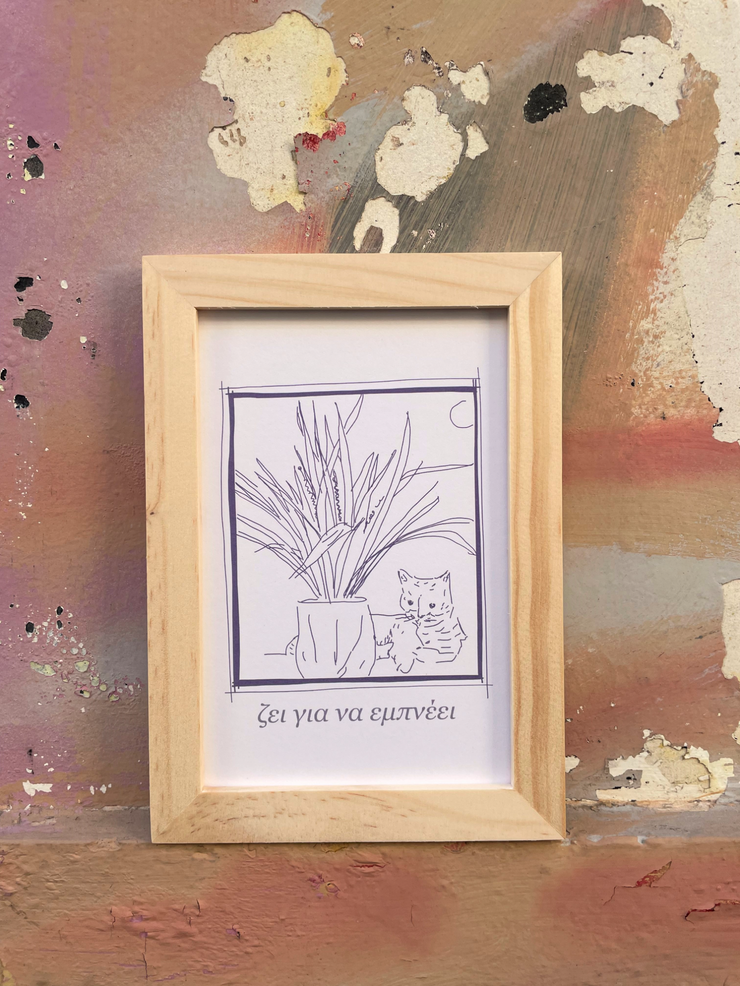 POSTCARD SET - GATA+ ROTA PROTA