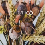 Thetico jls by lava lab