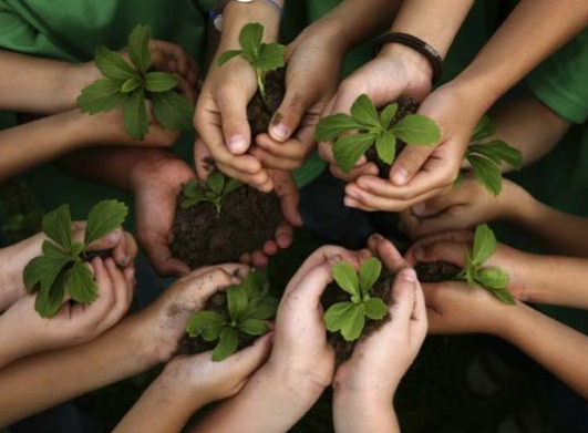 Gardening for kids with Pots & Plants by b2mt