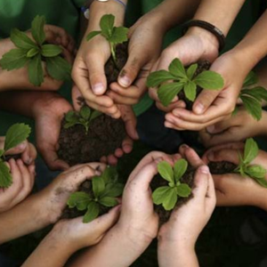 Gardening for kids with Pots & Plants by b2mt