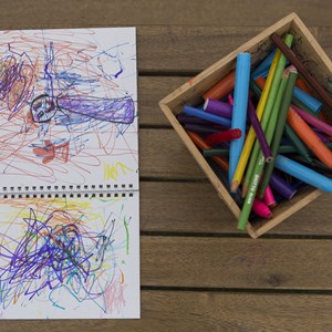 Τα ταξίδια του Γλάρου